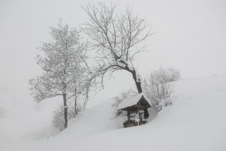 2. nagrada Suljanović Jasim - Ob poti